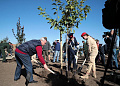 Делегация Белокалитвинского района приняла участие в закладке сада Победы на «Самбекских высотах»