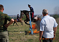 Конноспортивный праздник «Мы - Донские казаки» стал украшением торжественных мероприятий ко Дню города 