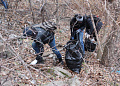 В минувшие выходные на берегу реки Калитва состоялась экологическая акция «Чистый берег»