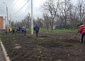В Белокалитвинском районе прошел весенний День древонасаждений