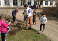 В Белокалитвинском районе прошел весенний День древонасаждений