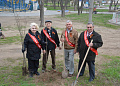 В рамках областного Дня древонасаждений в Белокалитвинском районе высадили более 2 тысяч деревьев и кустарников