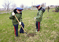 В Белокалитвинском районе высадили более 2 тысяч деревьев и кустарников