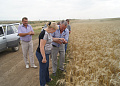 В рамках проведения уборочной кампании Ольга Мельникова посетила сельхозпредприятия района 