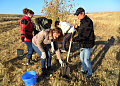 В Белой Калитве прошел осенний День древонасаждений