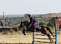 Конно-спортивный праздник, посвященный Дню города, состоялся на белокалитвинском ипподроме
