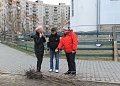 В Белокалитвинском районе высадили более 2 тысяч деревьев и кустарников