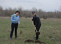 В рамках областного Дня древонасаждений в Белокалитвинском районе высадили более 2 тысяч деревьев и кустарников