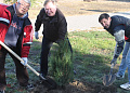 В Белокалитвинском районе прошел осенний День древонасаждений