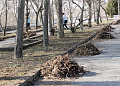В Белокалитвинском районе стартовал весенний месячник чистоты