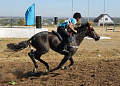 Конно-спортивный праздник, посвященный Дню города, состоялся на белокалитвинском ипподроме