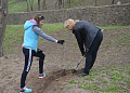 В рамках областного Дня древонасаждений в Белокалитвинском районе высадили более 2 тысяч деревьев и кустарников