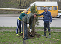 В рамках областного Дня древонасаждений в Белокалитвинском районе высадили более 2 тысяч деревьев и кустарников