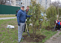 В рамках областного Дня древонасаждений в Белокалитвинском районе высадили более 2 тысяч деревьев и кустарников
