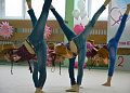В Белокалитвинском районе состоялись соревнования по художественной гимнастике «Донская жемчужина 2018»