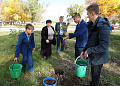 В Белокалитвинском районе в День Древонасаждений было высажено около 2 тысяч деревьев и кустарников
