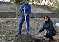 В Белокалитвинском районе прошел осенний День древонасаждений