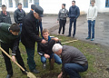В Белокалитвинском районе высадили более 2 тысяч деревьев и кустарников