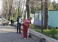 Состоялся общегородской День благоустройства