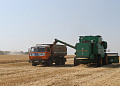 Уборочная кампания-2014: старт дан