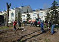 В Белокалитвинском районе высадили более 3 тысяч деревьев 