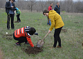 В рамках областного Дня древонасаждений в Белокалитвинском районе высадили более 2 тысяч деревьев и кустарников