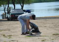 В Белокалитвинском районе прошла Всероссийская экологическая акция «Нашим рекам и озерам - чистые берега»