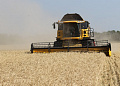 Уборочная кампания-2014: старт дан