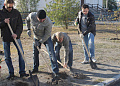 В Белокалитвинском районе прошел осенний День древонасаждений