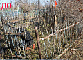 Состоялся субботник в рамках акции «Потомки героев»